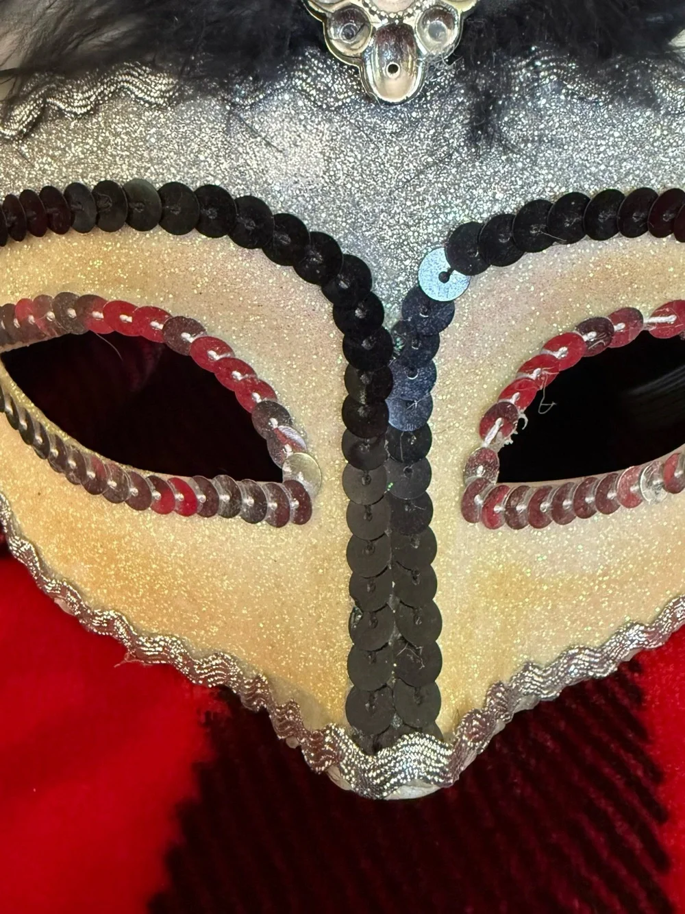 Black Feathered Masquerade Mask with Ivory Accents
